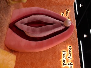 Photo 49